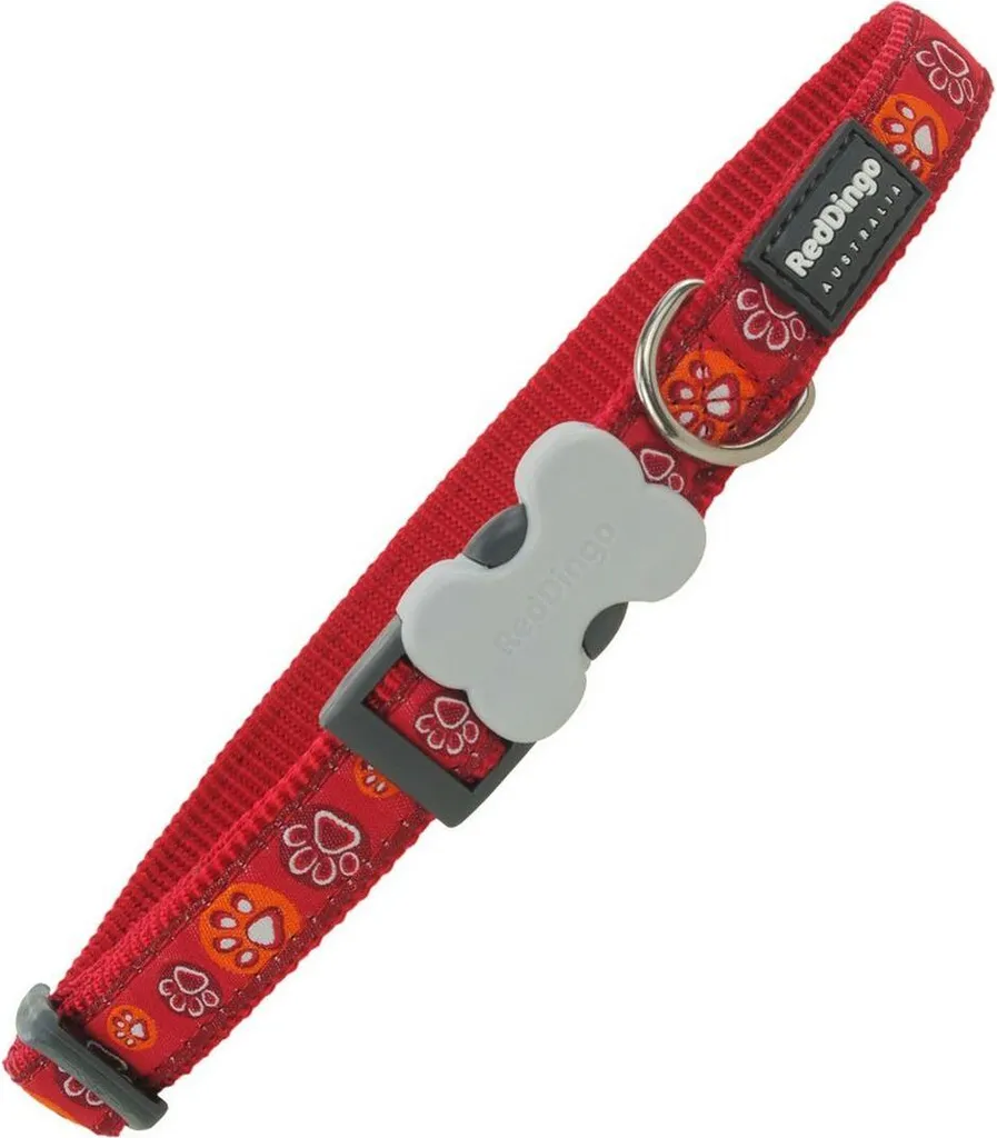 Collare Red Dingo Animal Print 20-32 cm - Stile e Sicurezza X-Small
