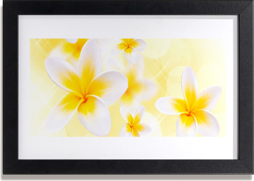 Bild 30x20 MDF-Rahmen Wandkunst Blumen Pflanzen Natur Produktbild 