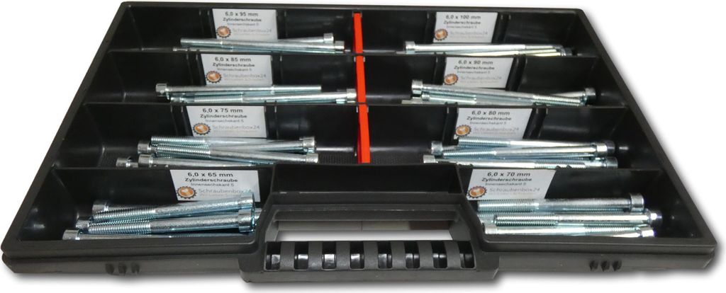 80 tlg Zylinderschrauben Sortiment M6 // 65mm-100mm Schrauben Set Schraubenbox DIN 912/ISO4762 Bolzen Vollgewindeschrauben Maschinenschrauben Gewin...