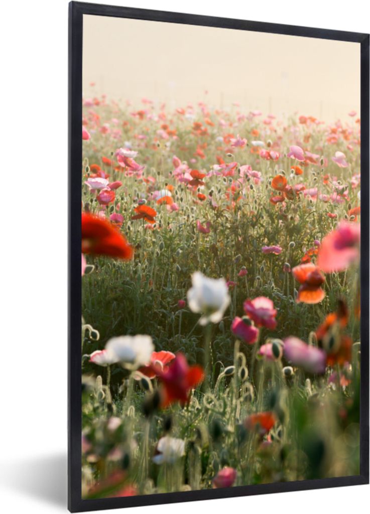 MuchoWow Gerahmtes Poster Mohn - Farben - Pastell 20x30 cm - Poster mit Schwarzem Bilderrahmen Wandposter Rahmen Foto Bilder - Drucken - Bilder P...