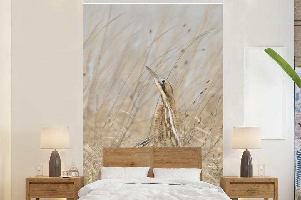 MuchoWow Fototapete für Wohnzimmer oder Schlafzimmer Wandtapete Vinyl Motivtapete Rohrdommel zwischen hohen Gräsern - 155x240 cm - Tapete