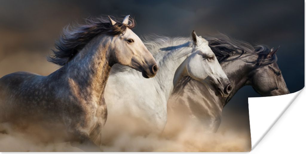 MuchoWow Poster Pferde - Sand - Stoff 120x60 cm - Bild