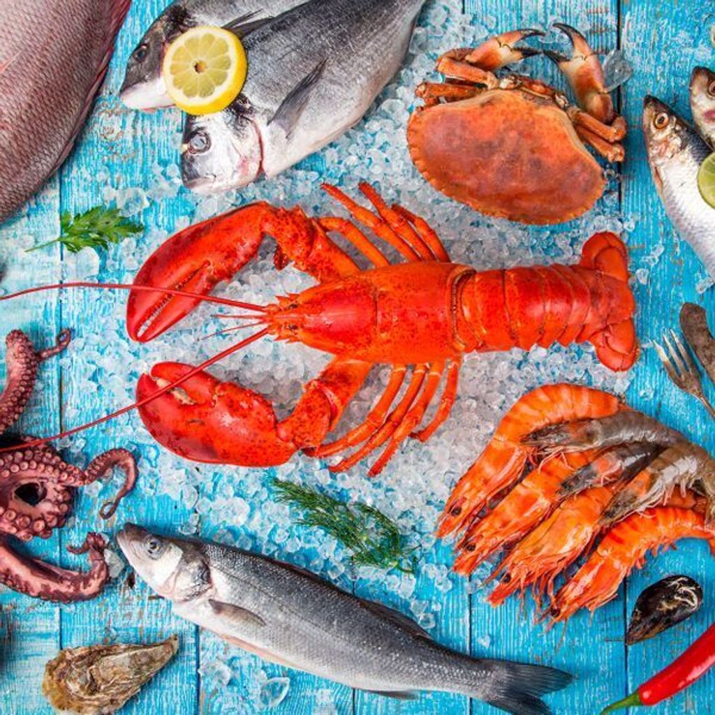 240 Duni Tissue-Servietten 33 x 33 cm Seafood 3-lagig