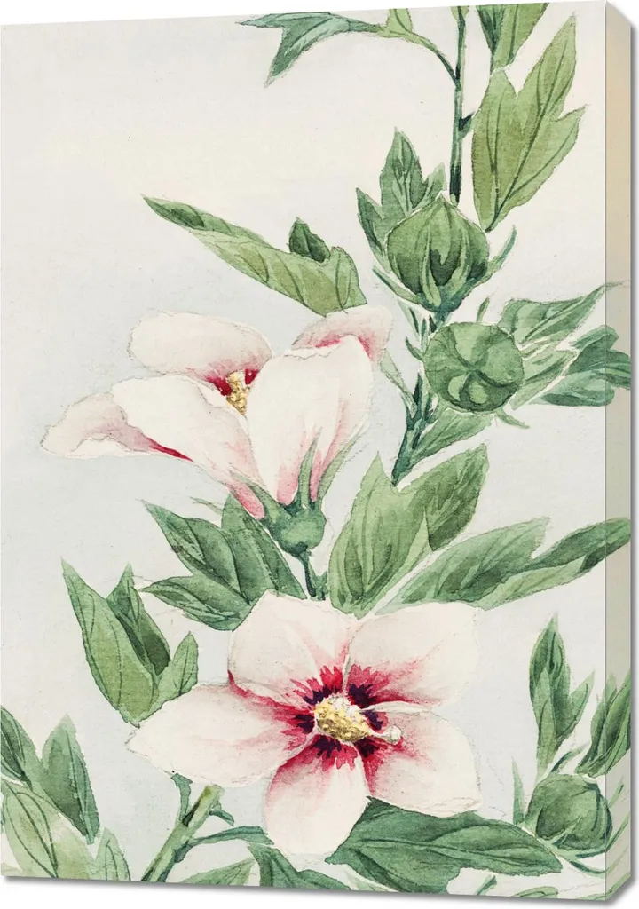 Affiche Grand Format Japonais Vintage Hibiscus Morikaga 70 x 100 cm