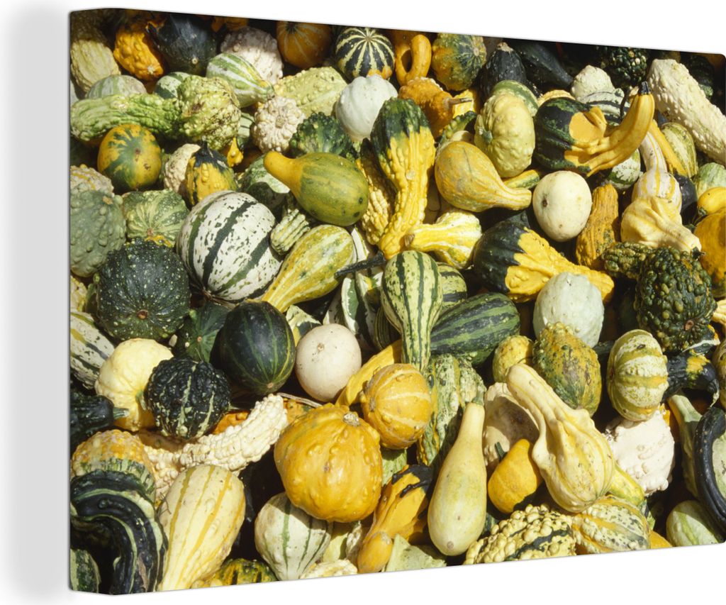 OneMillionCanvasses - Leinwandbilder - 140x90 cm, Ein Meer aus grünen und gelben Kürbissen, Wandbilder Kunstdruck Wanddekoration