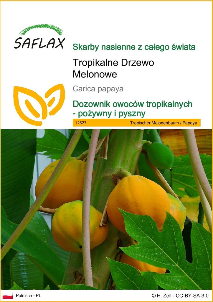 SAFLAX - Tropikalne Drzewo Melonowe - 30 Nasiona - Carica Zdjęcie produktu 