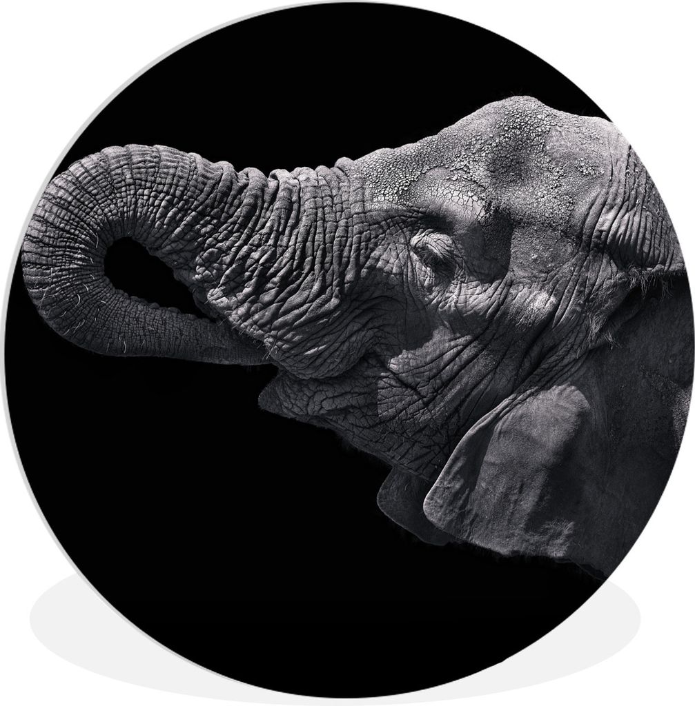 MuchoWow Rundes Wandbild - Runde Bilder Elefant - Tiere - Schwarz - Natur Ø 60 cm Kreis Wanddekoration Kunststoff - Wandkreis - Wandschmuck - Wa...