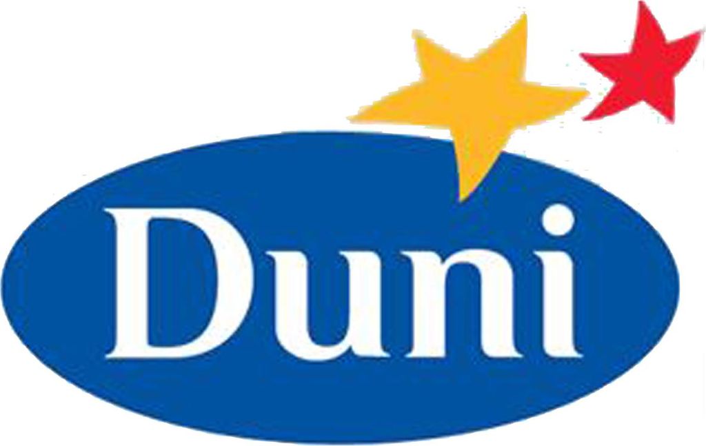Duni Papier-Tischset Dutch Charm 30x40cm Packung 250 Stück