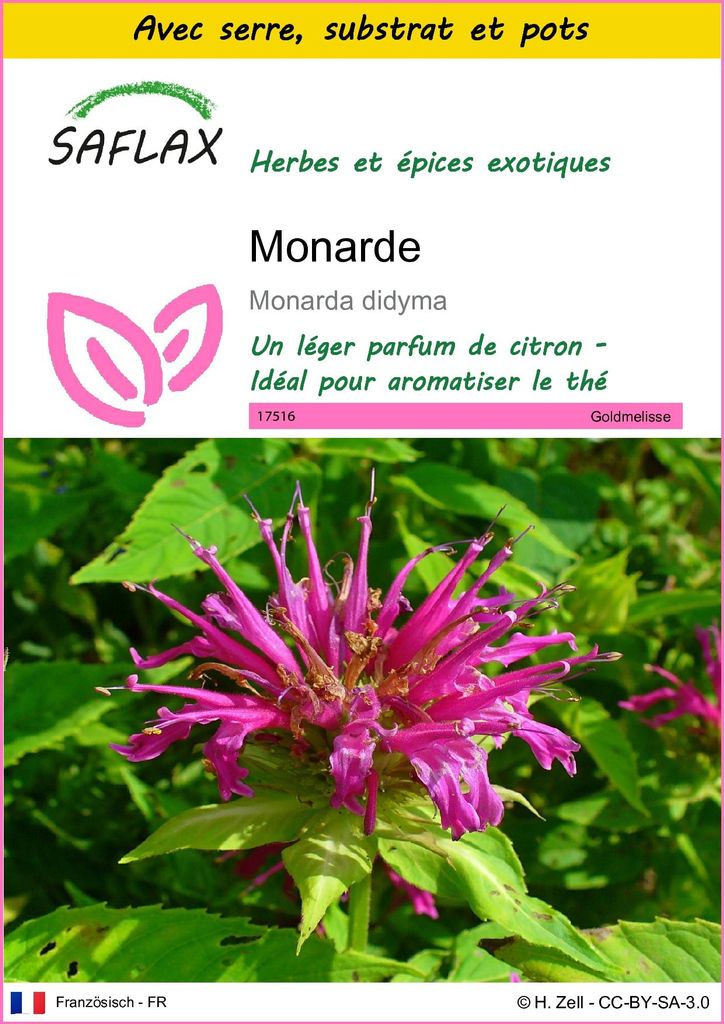 SAFLAX Ensemble de culture - Monarde - 20 graines - Monarda Image du produit 