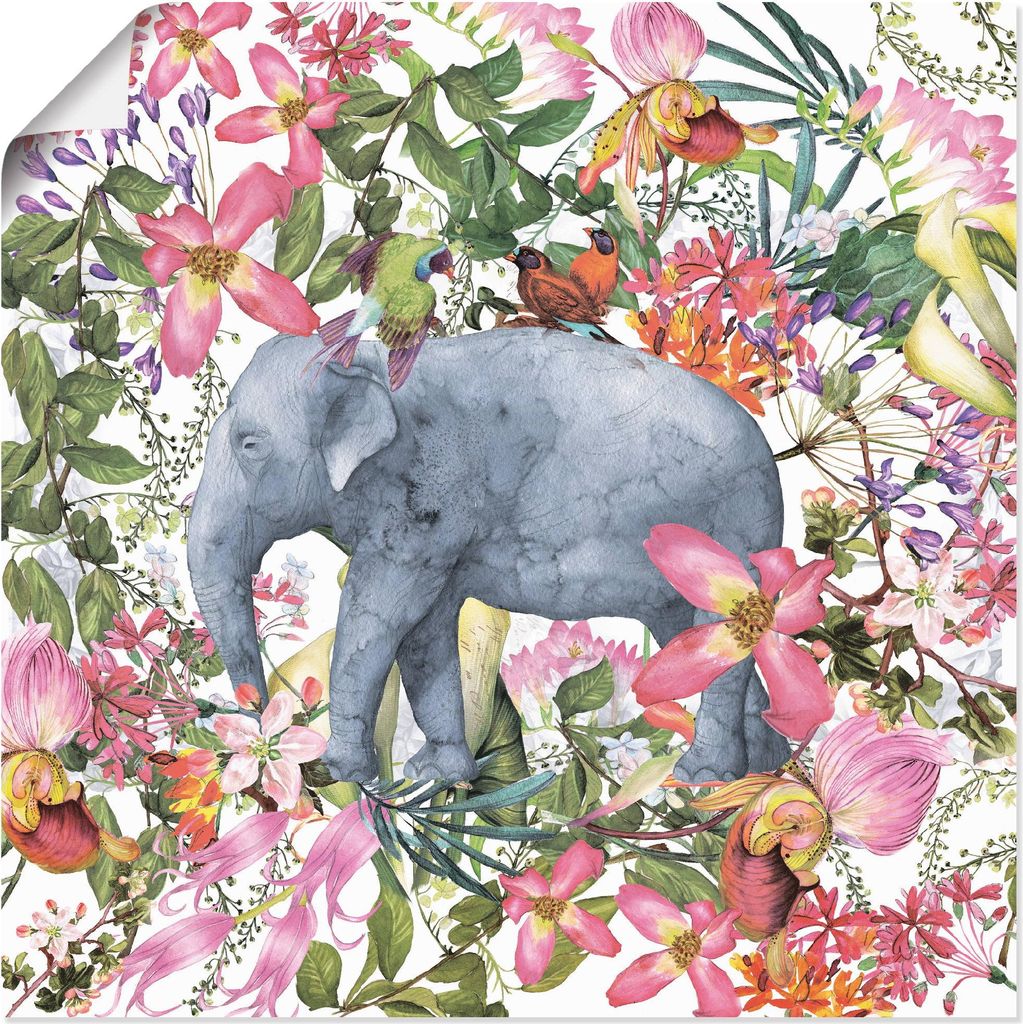 ARTland Poster Elefant im Blüten Dschungel Größe: 50x50 cm