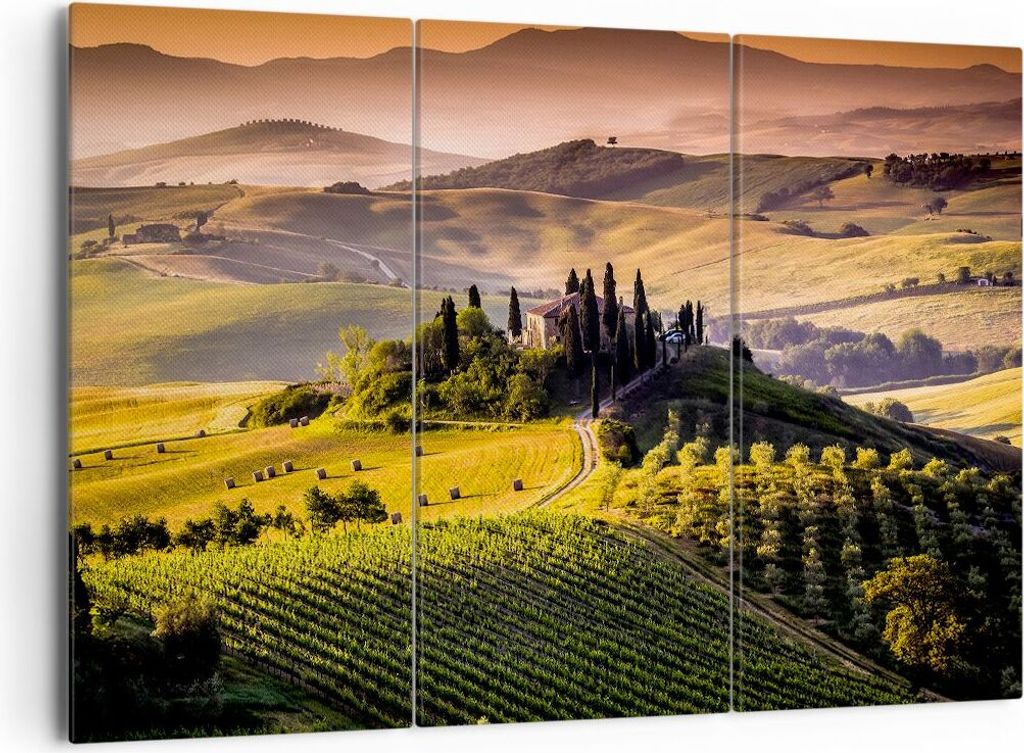 Bild auf Leinwand - Leinwandbild - Landwirtschaft Bauernhof Toskana Weinberg - 165x110cm - Wand Bild - Wanddeko - Leinwanddruck - Bilder - Kunstdru...