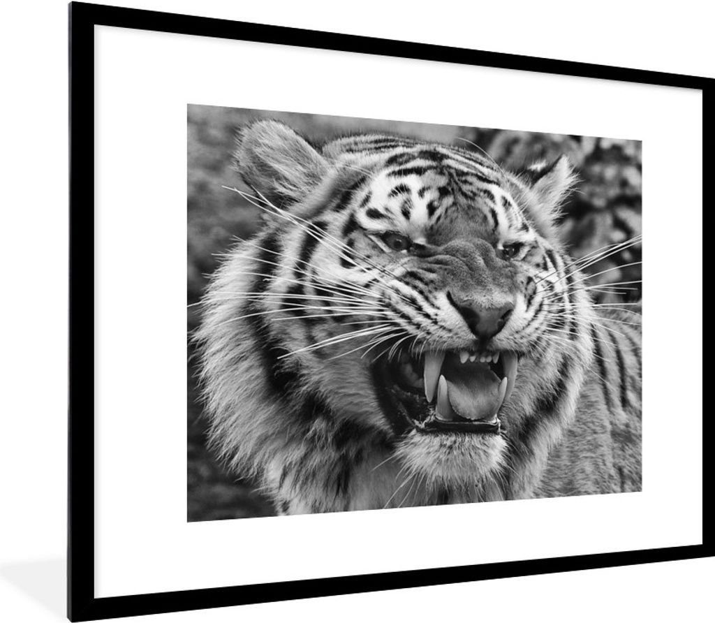 MuchoWow Gerahmtes Poster Tiger - Tiere - Schwarz - Weiß 80x60 cm - Poster mit Schwarzem Bilderrahmen Wandposter Rahmen Foto Bilder - Schlafzimm...