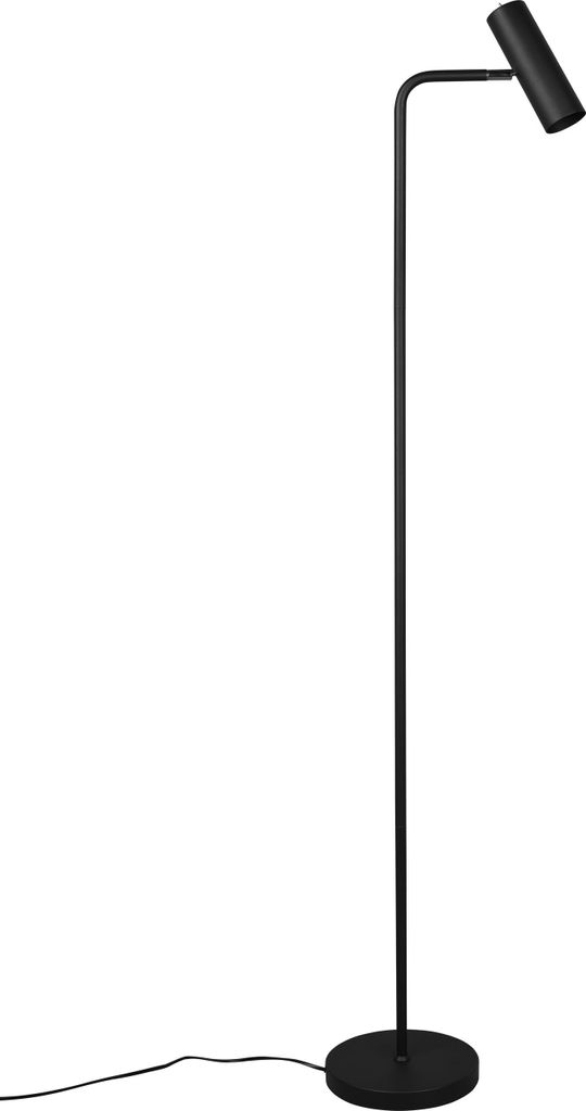 A black floor lamp on a white background.