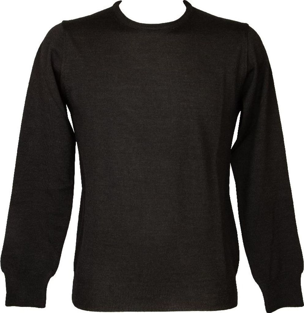 RAGNO Herrenpullover Rundhalspullover Langarm reine extrafeine Wolle Gauge 12 Artikel U545M9, Taglia 50, Lana 100%