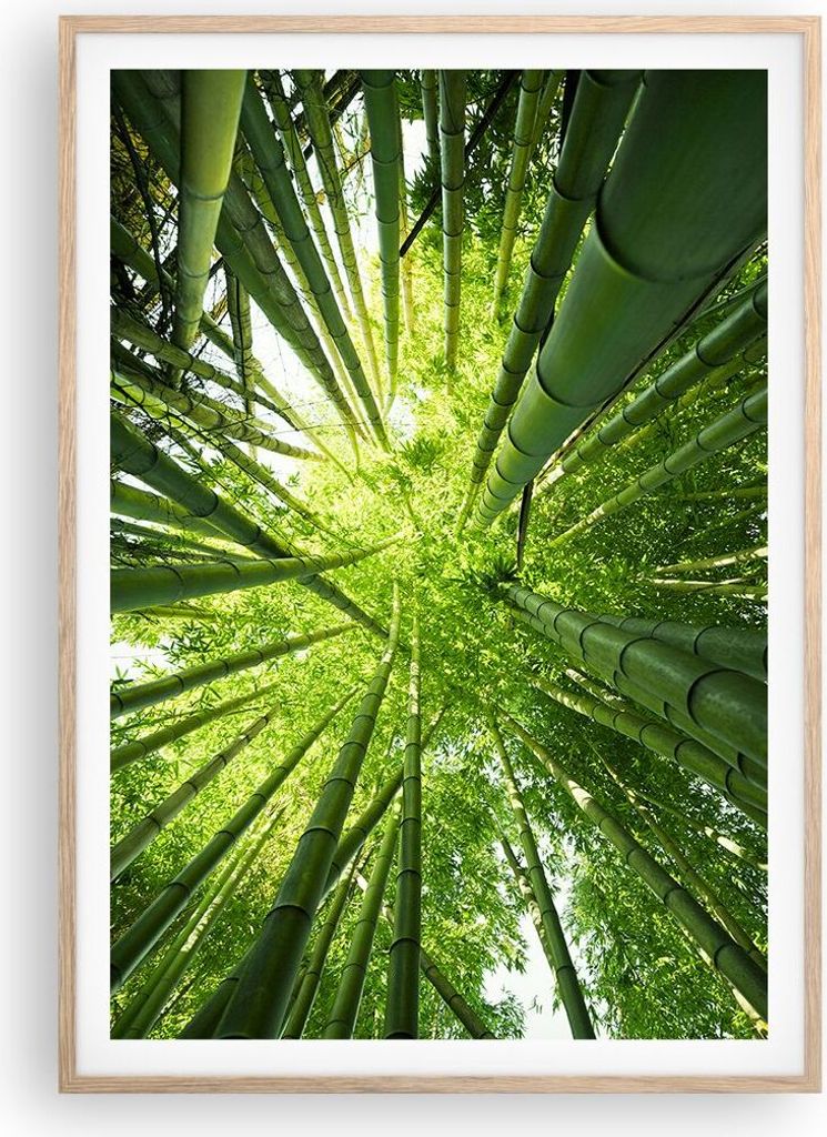 Gerahmtes Poster - Rahmen in heller Eiche - Bambus Dschungel Grün - 70x100 cm - Wand Bild - Wanddeko - Wandbilder - Wandposter - Bilderrahmen - Bi...