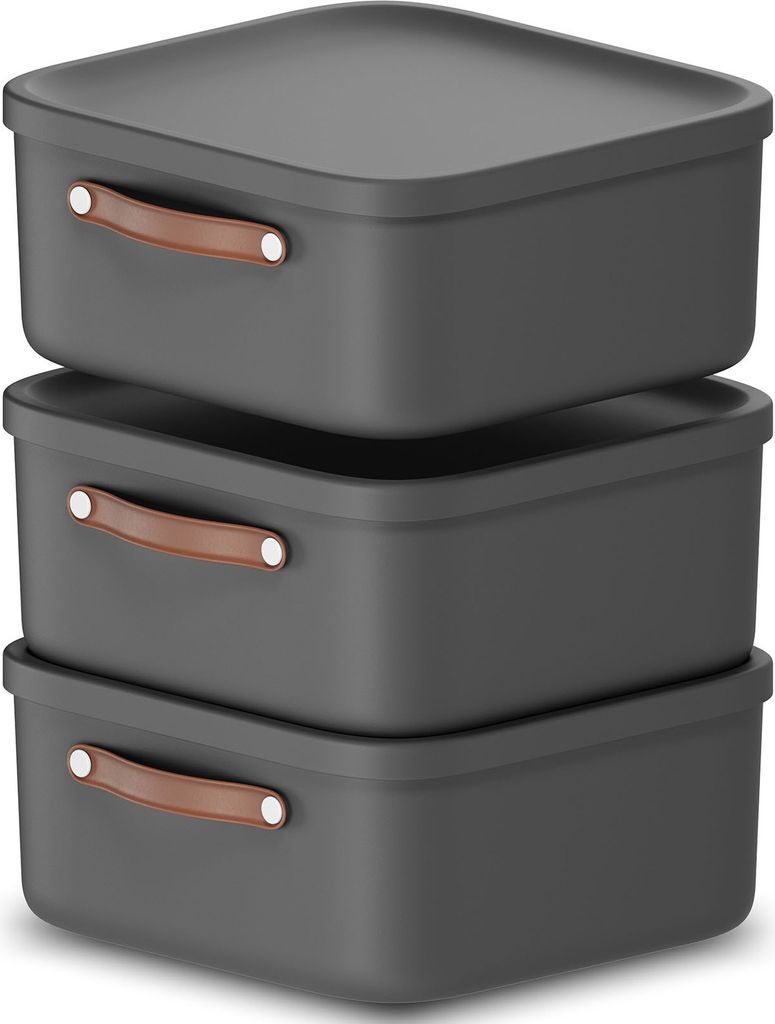 Rotho 3er-Set Aufbewahrungsbox 20 L Maloja - Kunststoffbox mit Deckel - Stapelbox 39,5 x 38,0 x 17,7 cm - Plastikbox Ordnungsbox Allzweckkiste