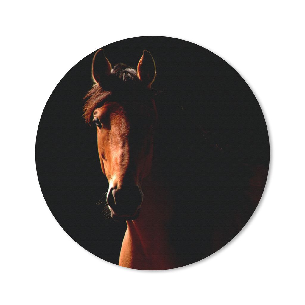 MuchoWow Mauspad Mousepad Pferd - Licht - Porträt 30x30 cm - Mousepads - Maus Mat - Pad - Mausunterlage - Tischunterlage - Schreibtischmatten