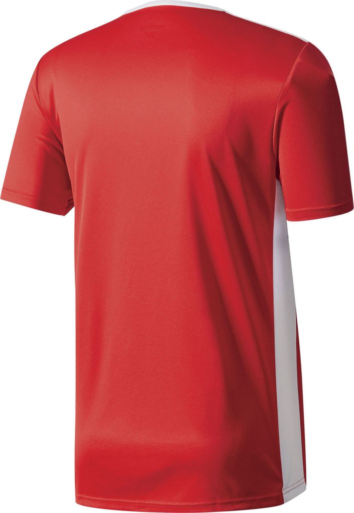 Adidas Koszulki Entrada 18, CF1038, Größe: 176 Zdjęcie produktu 2