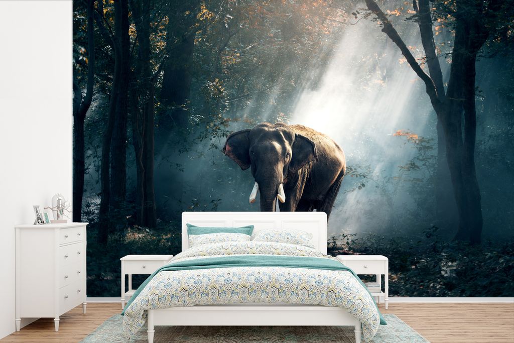 MuchoWow Fototapete für Wohnzimmer oder Schlafzimmer Wandtapete Vinyl Motivtapete Elefant - Tiere - Licht - Wald - Natur - Wildtiere - 420x280 c...