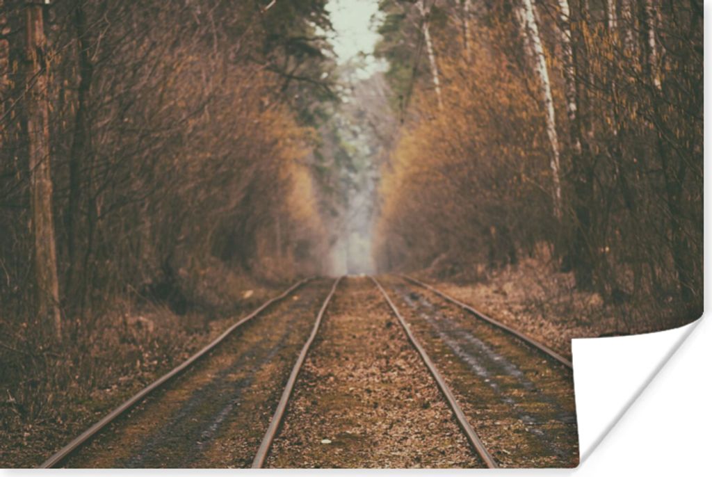 MuchoWow Poster Bahnstrecke - Weg - Wald - Baum 180x120 cm - Fotoplakat