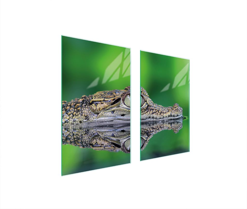 Glasschutzplatte Für Herd 75X52 Crocodile
