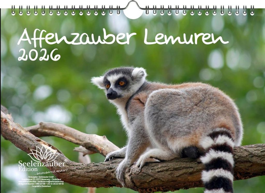 Affenzauber Lemuren DIN A4 Kalender für 2026 Affen - Seelenzauber