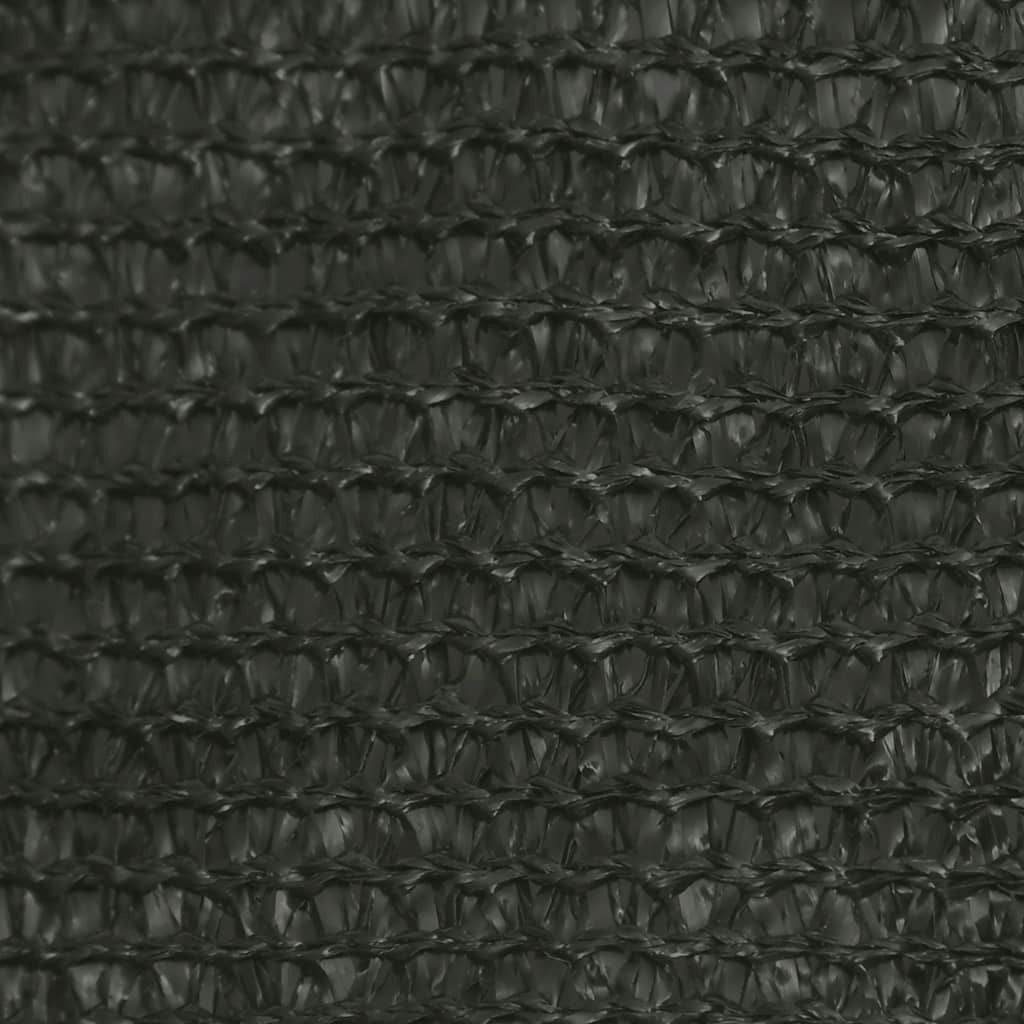 vidaXL Voile d'ombrage 160 g/m² Anthracite 3/4x2 m HDPE Image du produit 