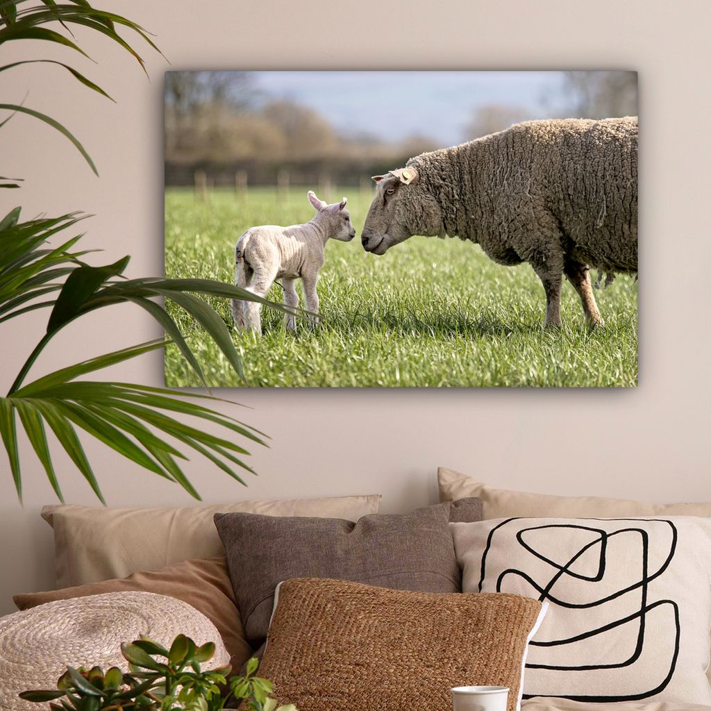 OneMillionCanvasses - Leinwandbilder - 150x100 cm, Schafe - Gras - Frühling, Wandbilder Kunstdruck Wanddekoration