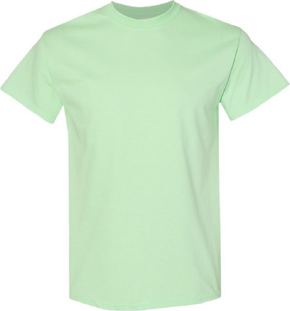 Gildan Herren T-Shirt BC481 (M) (Mint Grün)