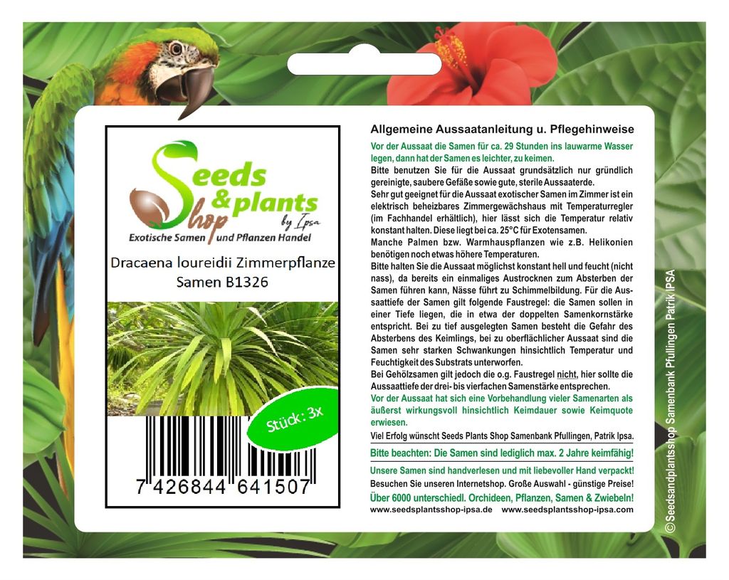 3x Dracaena cochinchinensis Thai Drachenbaum Garten Pflanzen - Samen B1326