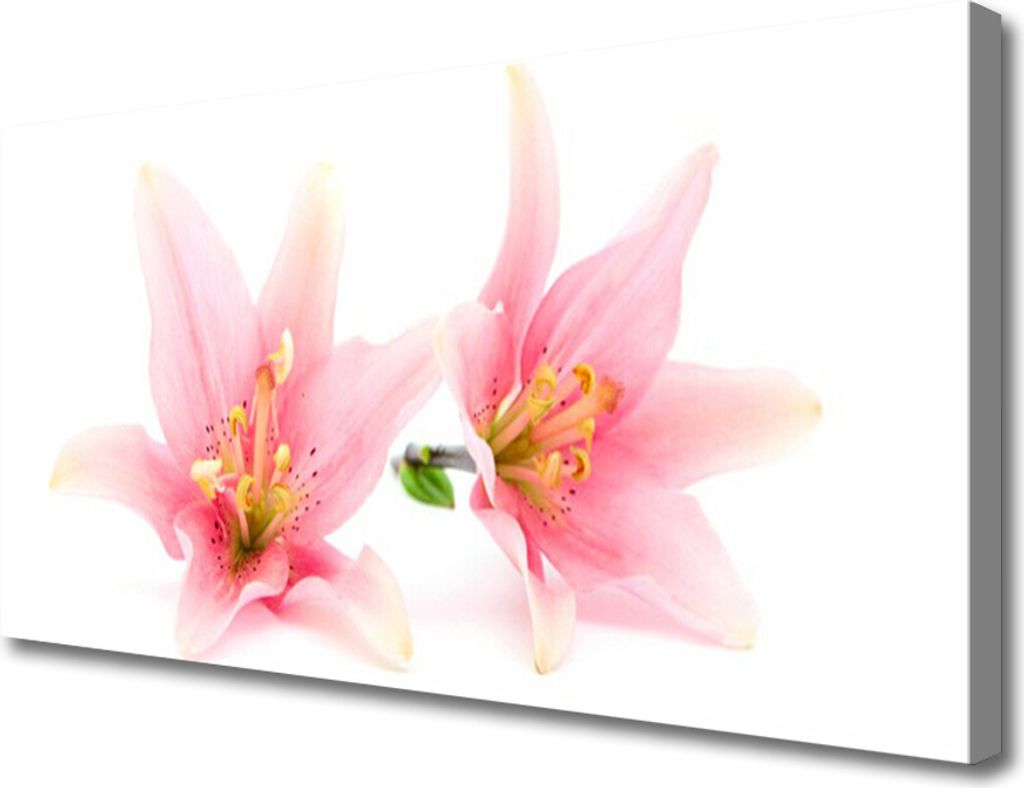 Tulup Leinwand-Bilder 100x50 Wandbild Canvas Kunstdruck Blumen Pflanzen