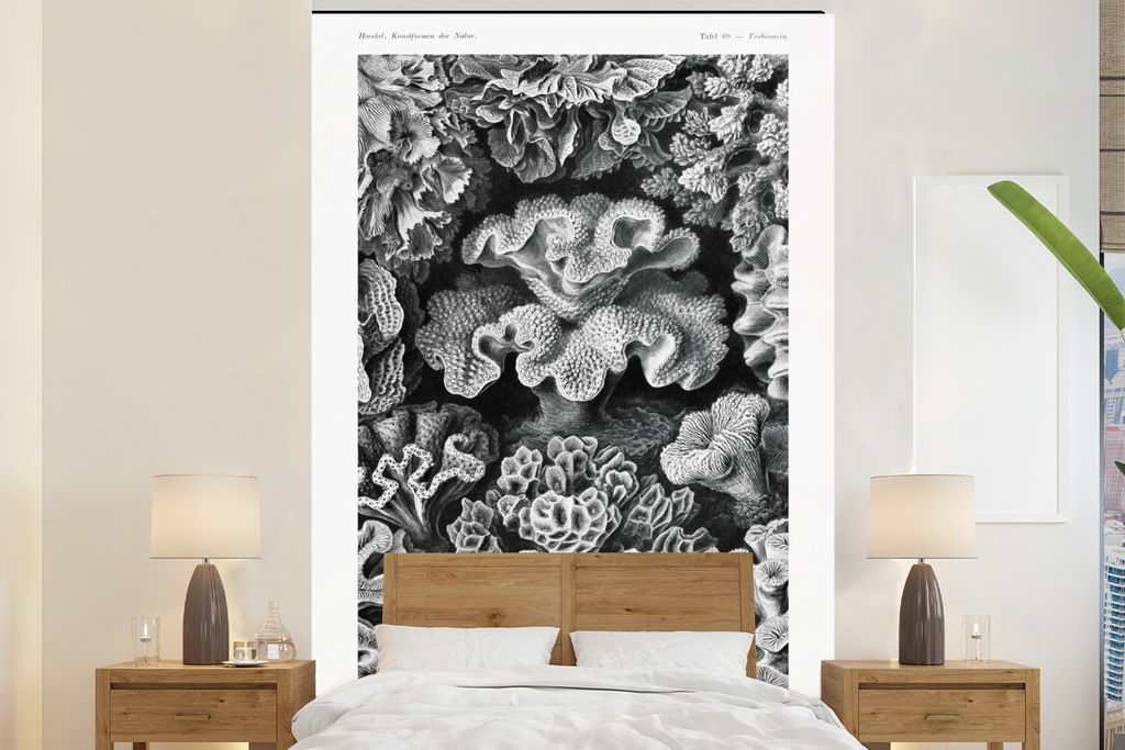 MuchoWow Fototapete für Wohnzimmer oder Schlafzimmer Wandtapete Vinyl Motivtapete Kunst - Koralle - Ernst Haeckel - Alte Meister - Natur - 195x3...