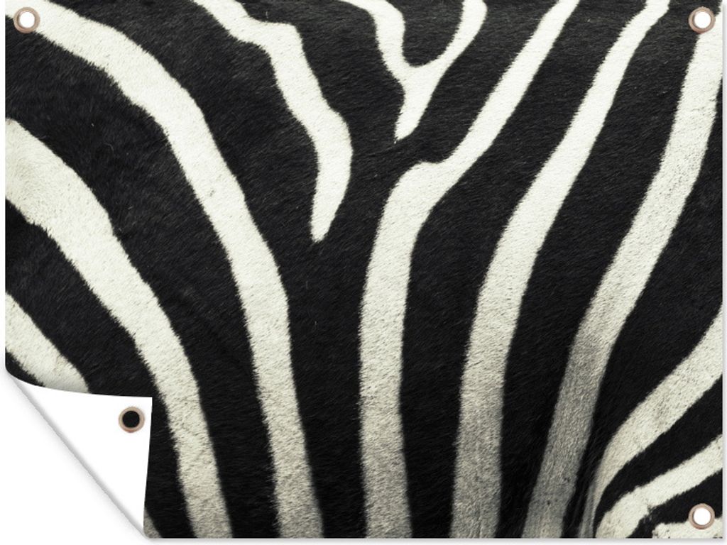 MuchoWow 80x60 cm Outdoor-Poster Gartendeko Sichtschutz Garten Poster für den Garten Tiermuster - Zebra - Schwarz - Weiß