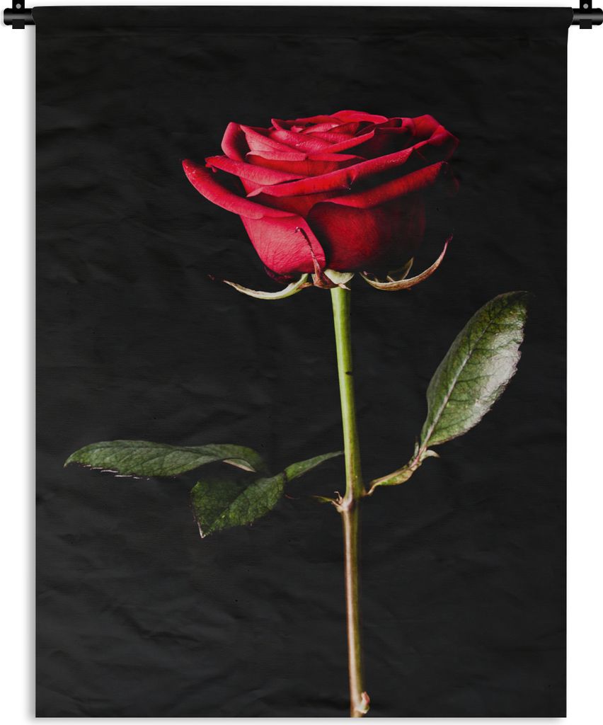 MuchoWow Wandteppich Wandbehang Eine rote Rose auf schwarzem Hintergrund 60x80 cm Tapisserie Dekoration Wandtuch - Decke - Wandtücher - Wohne