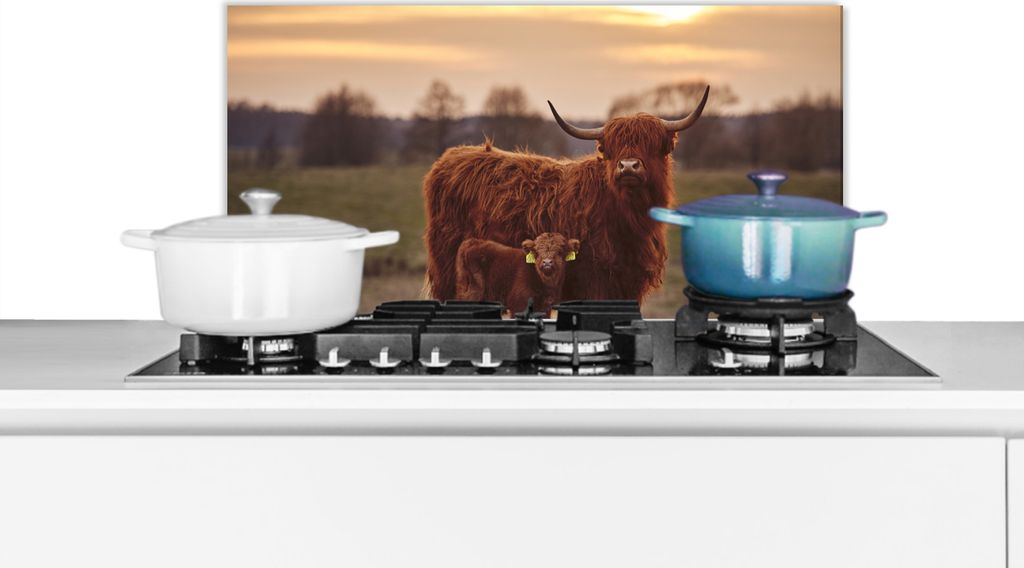 KitchenYeah Spritzschutz Küche - Küchenrückwand - Wandschutz für Herd und Spüle - Schottische Hochlandrind - Tiere - Landschaft - Sonnenunt...