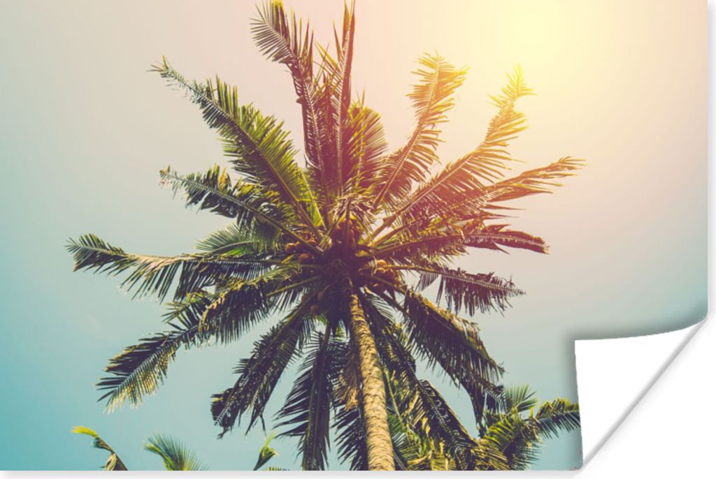 MuchoWow Poster Palme - Sommer - Tropisch - Sonne 120x80 cm - Bilder