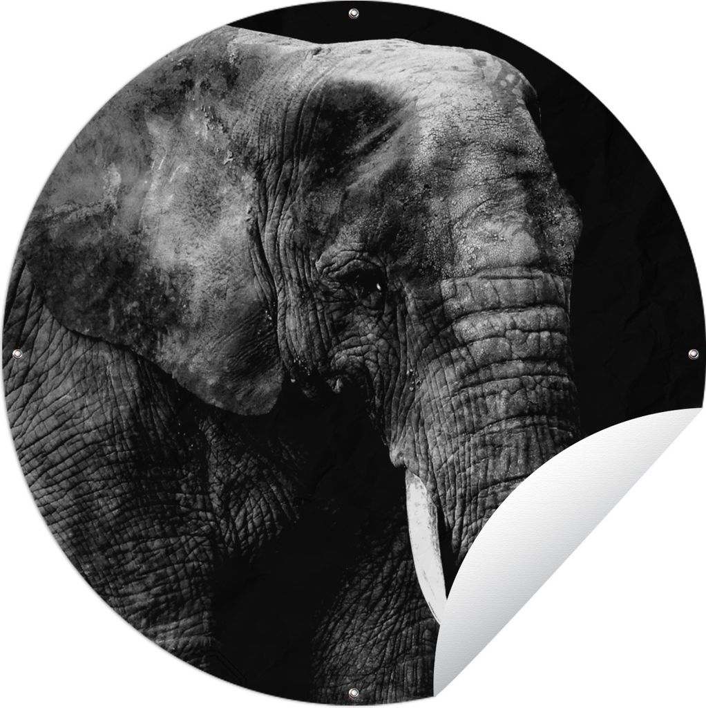 MuchoWow Gartenposter Outdoor-Poster Rund Elefant - Zähne - Schwarz - Weiß Ø 150 cm Gartendeko Rundes Poster draußen