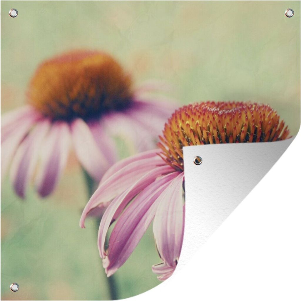 MuchoWow 50x50 cm Outdoor-Poster Gartendeko Sichtschutz Garten Poster für den Garten Zwei rosa Echinacea