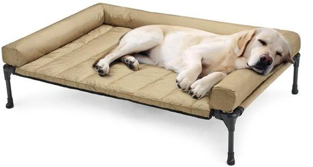 Lit de jardin pour chien surélevé idéal pour terrasse et camping