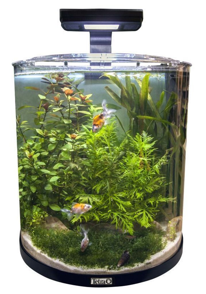 Akvárium set AquaArt Explorer 50 x 32 x 50 cm 60 l Obrázek produktu 8