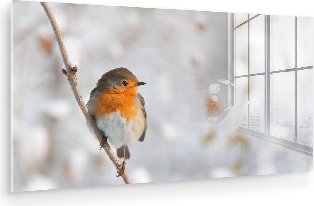 MuchoWow Glasbilder - Bilder auf Wandbild - Foto auf Glas Vogel - Rotkehlchen - Winter 80x40 cm Wanddekoration aus Glas - Acrylglasbild - Acrylbild...
