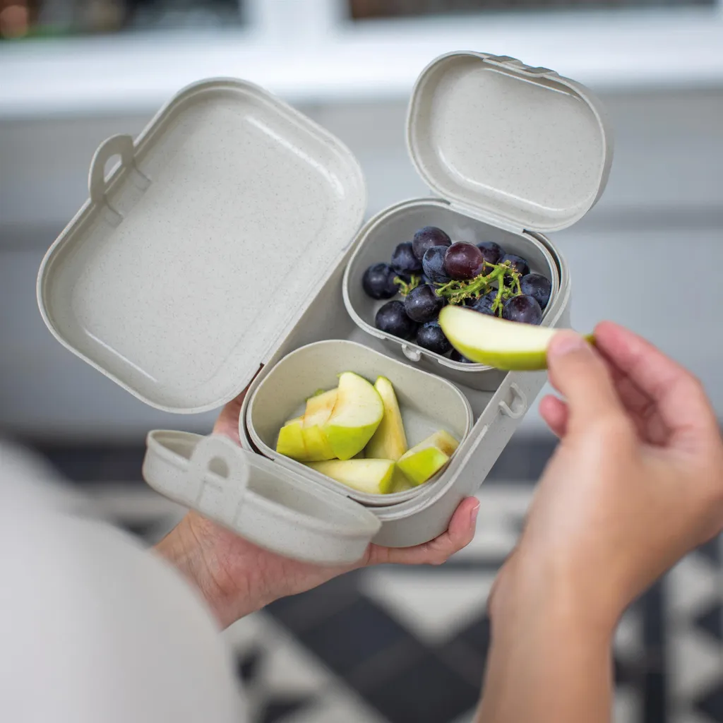Porta pranzo Koziol Bio-Circulair Pascal Ready Nature Ash Grey (Set da 6)) | Negozio Cucina