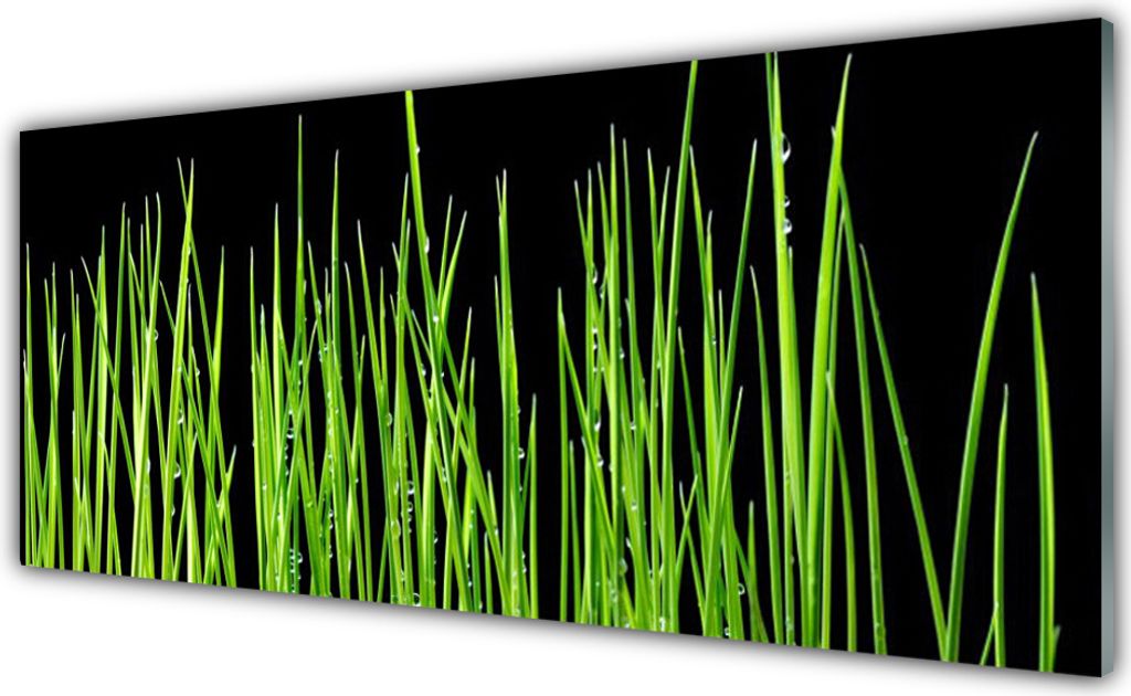 Acrylglasbilder 125x50 Wandbild Druck Gras Pflanzen