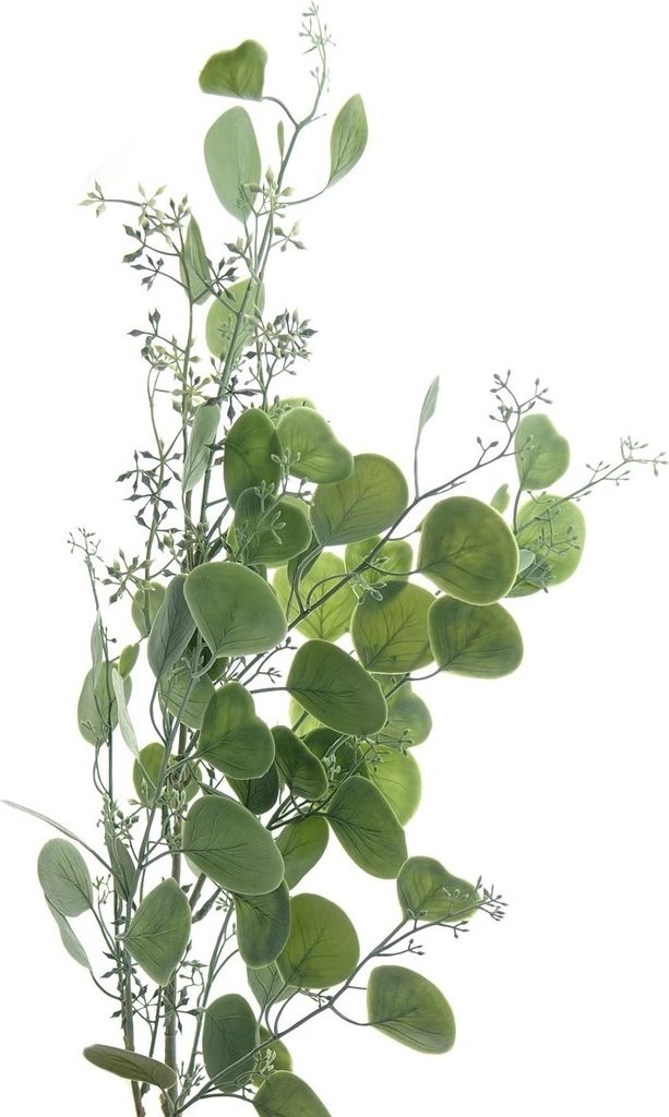 GASPER Eukalyptuszweig Grün mit Knospenansätzen 85 cm - Kunstpflanzen