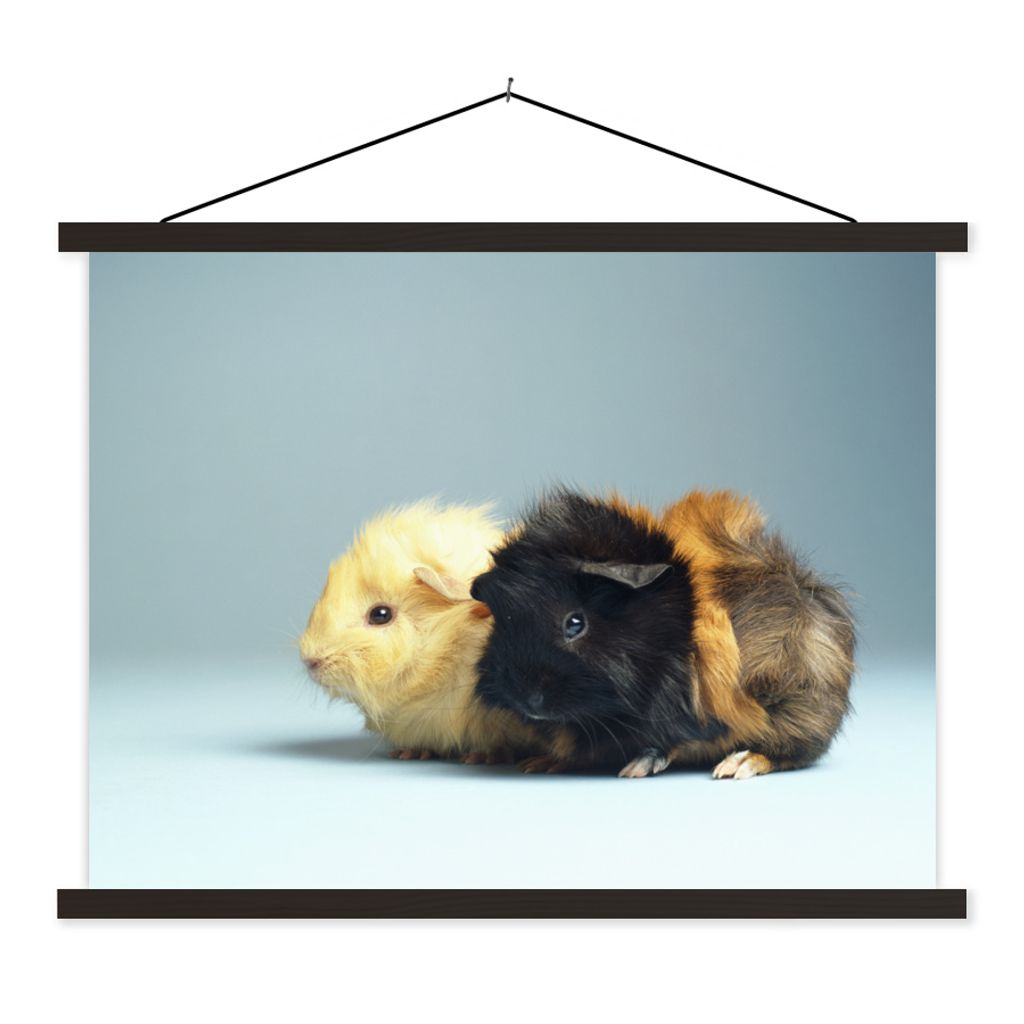 MuchoWow Textilposter Zwei kleine Meerschweinchen 40x30 cm mit schwarzem Rahmen - Dekorationen
