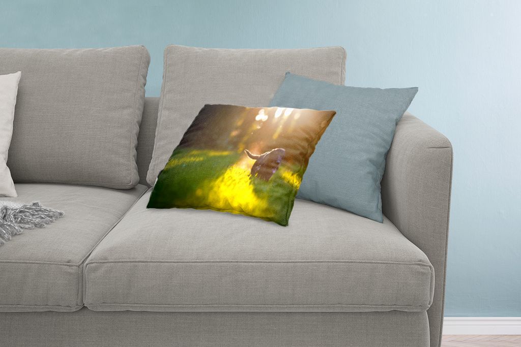 MuchoWow Zierkissen Sofakissen Wohnzimmer Dekokissen 60x40 cm Schöne Sonnenstrahlen über einem schwarzen Welpen - Kopfkissen - Polster mit Foto