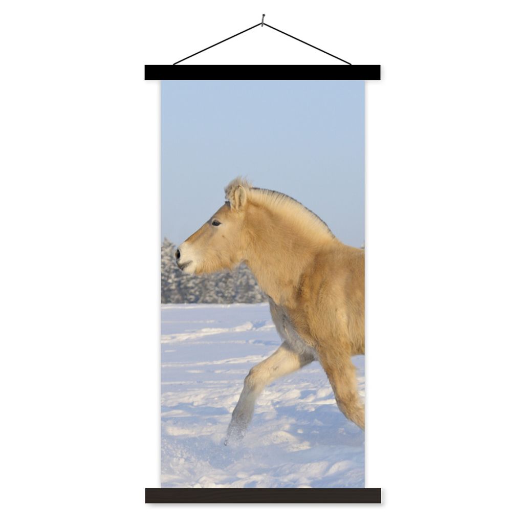 MuchoWow Textilposter Trabendes Fjordpferd im Schnee 60x120 cm mit schwarzem Rahmen - Magnete