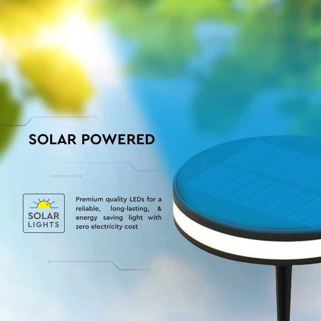 Lampe Solaire Jardin à Piquer Noire - Balisage Extérieur 90 Lumens