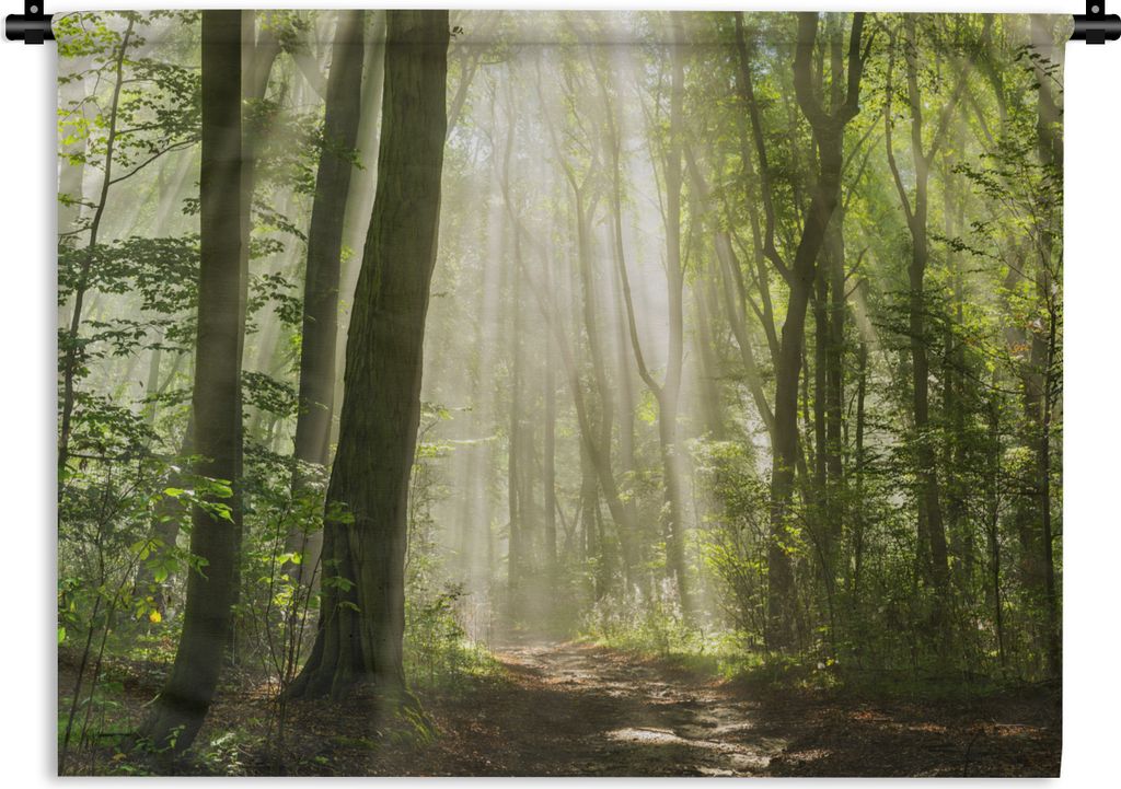 MuchoWow Wandteppich Wandbehang Wald - Licht - Natur - Landschaft 90x67.5 cm Tapisserie Dekoration Wandtuch - Fototeppich - Wand-Skulpturen