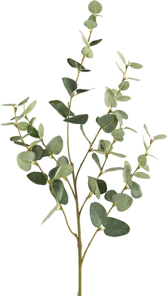 Fink EUKALYPTUSZWEIG, Kunstblume, Kunstfasern, grün, L. 85 cm, B. 26 cm, H. 0.5 cm 188114
